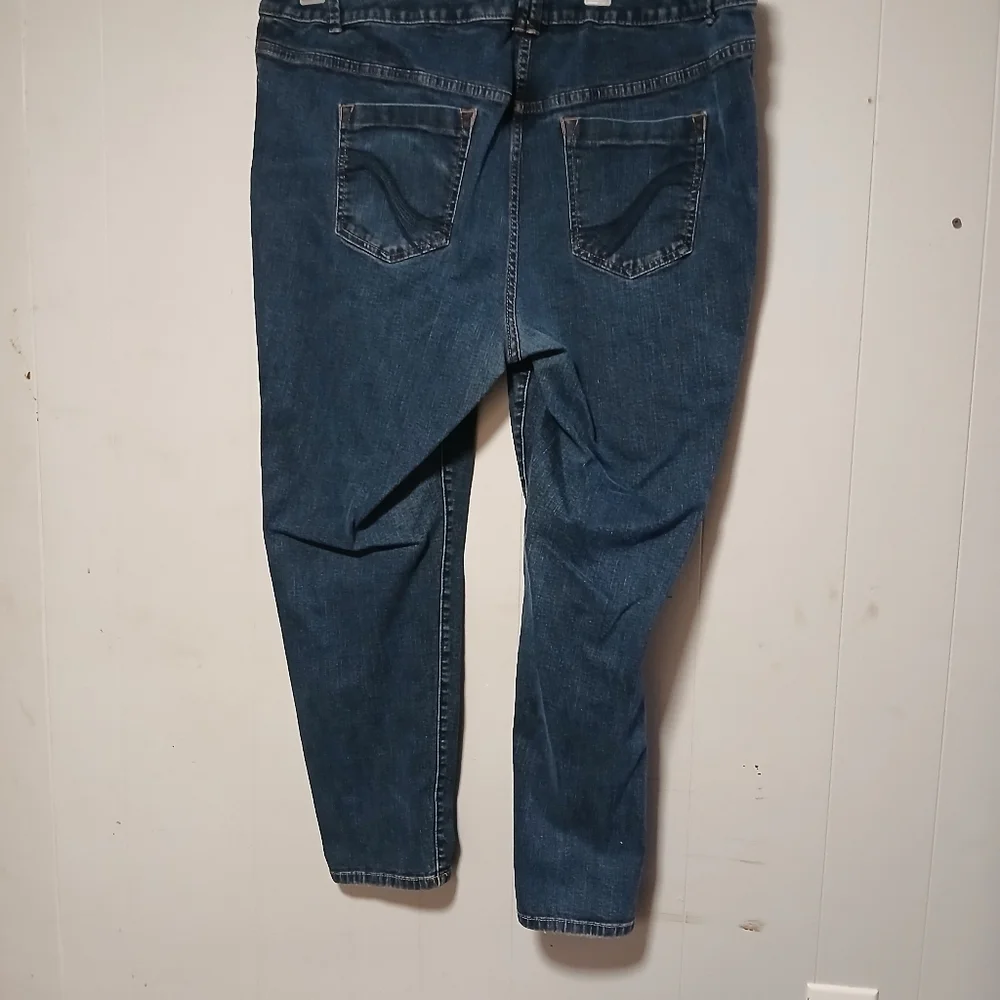 Lane Bryant skinny jeans..Genius fit. Size 24 average.